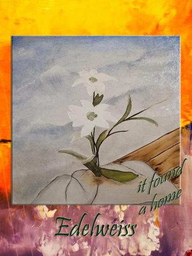 Edelweiss / oil, 30x40 cm, wood fiber /